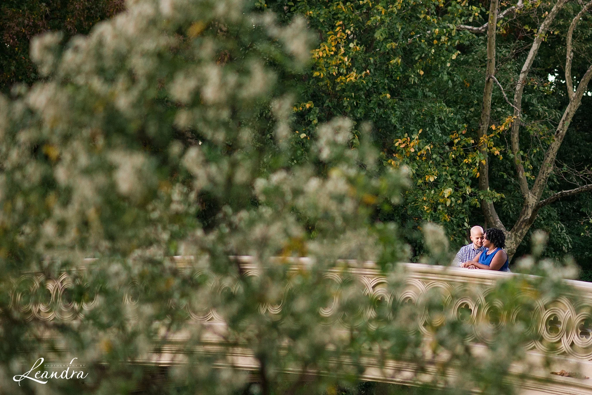 CentralParkEngagementPictures_0164.jpg
