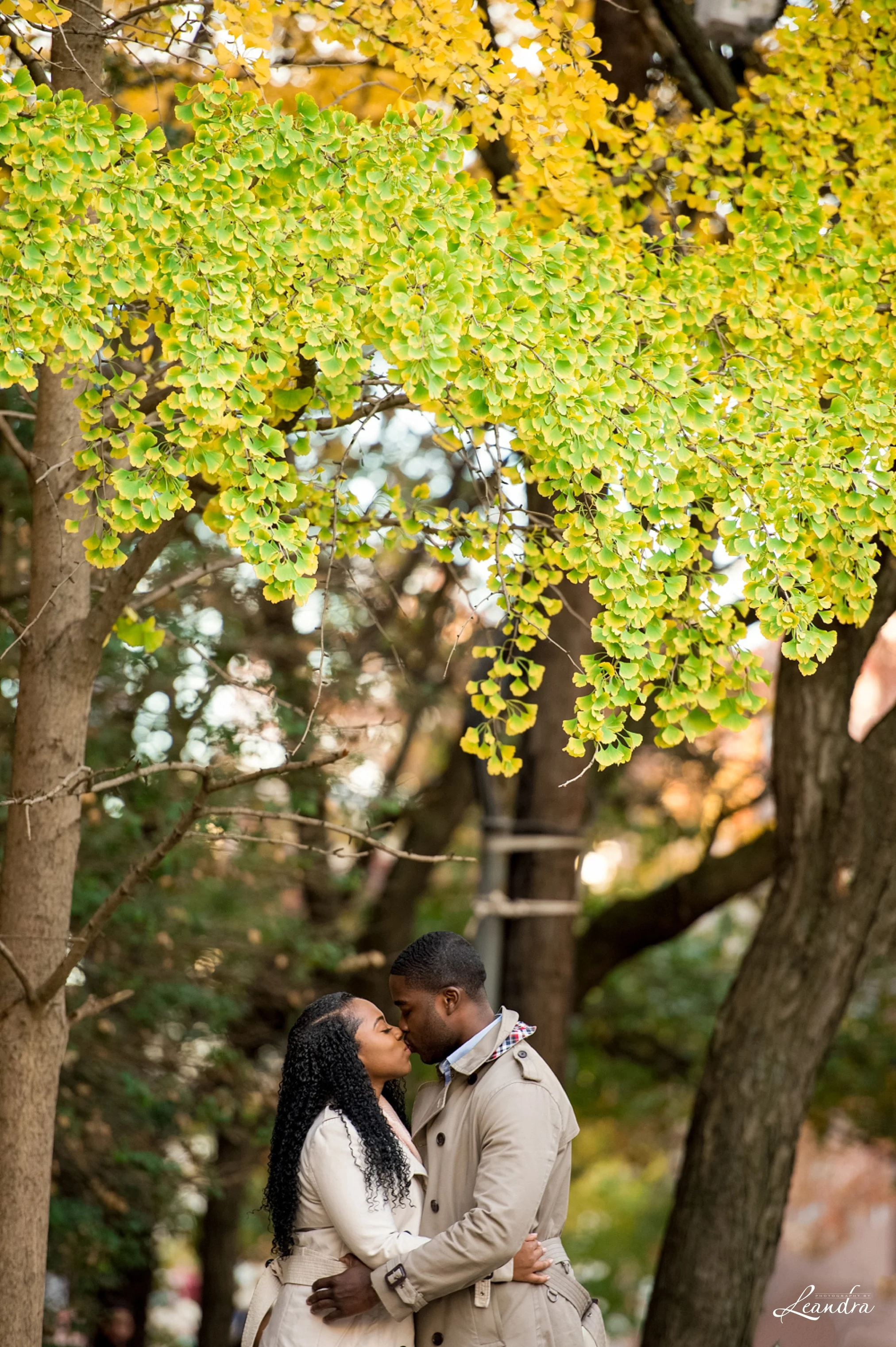 Engagementsessionwithfallfolliage_0153.jpg