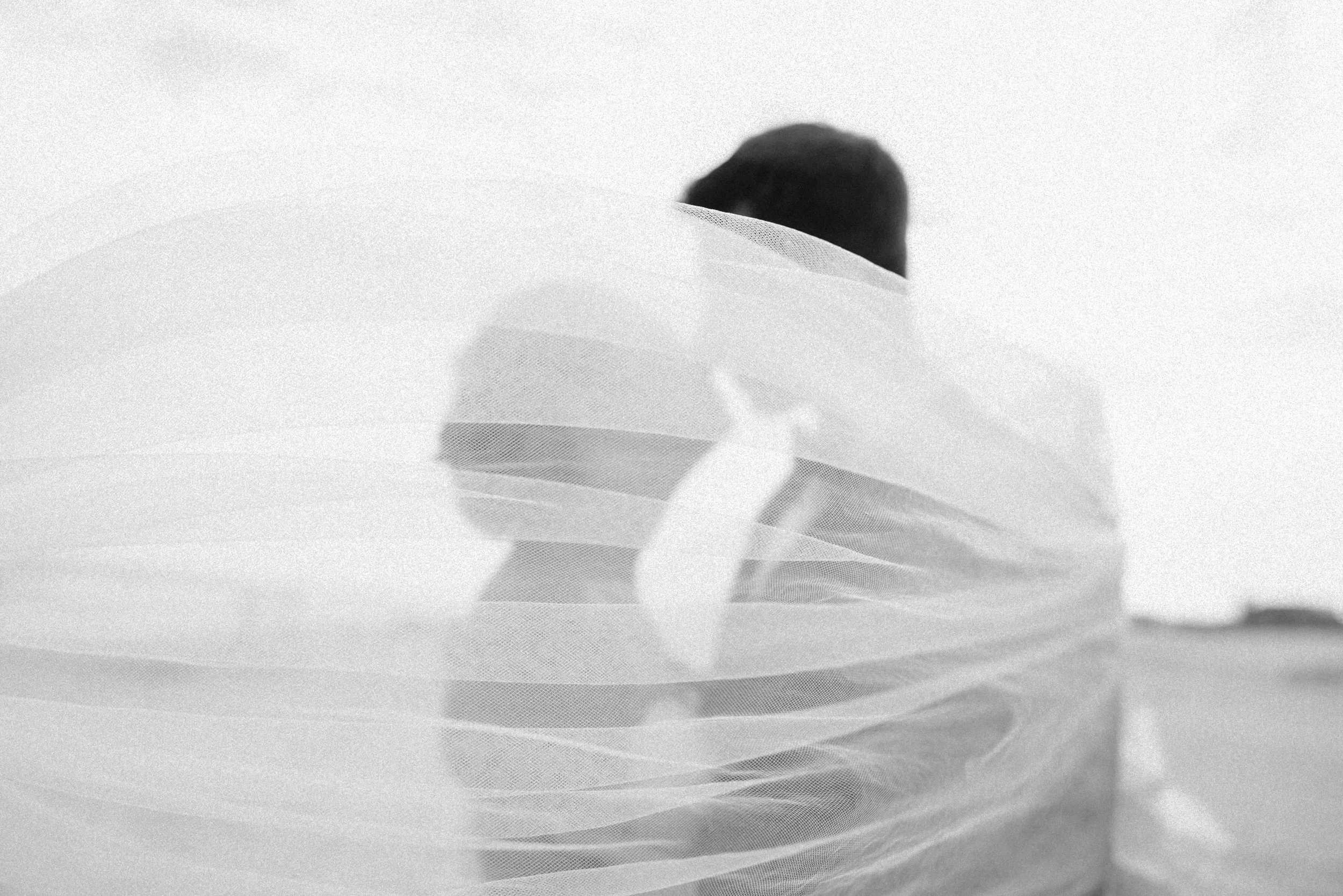 Bride and Groom under the veil | Washington D.C. Wedding Photographer