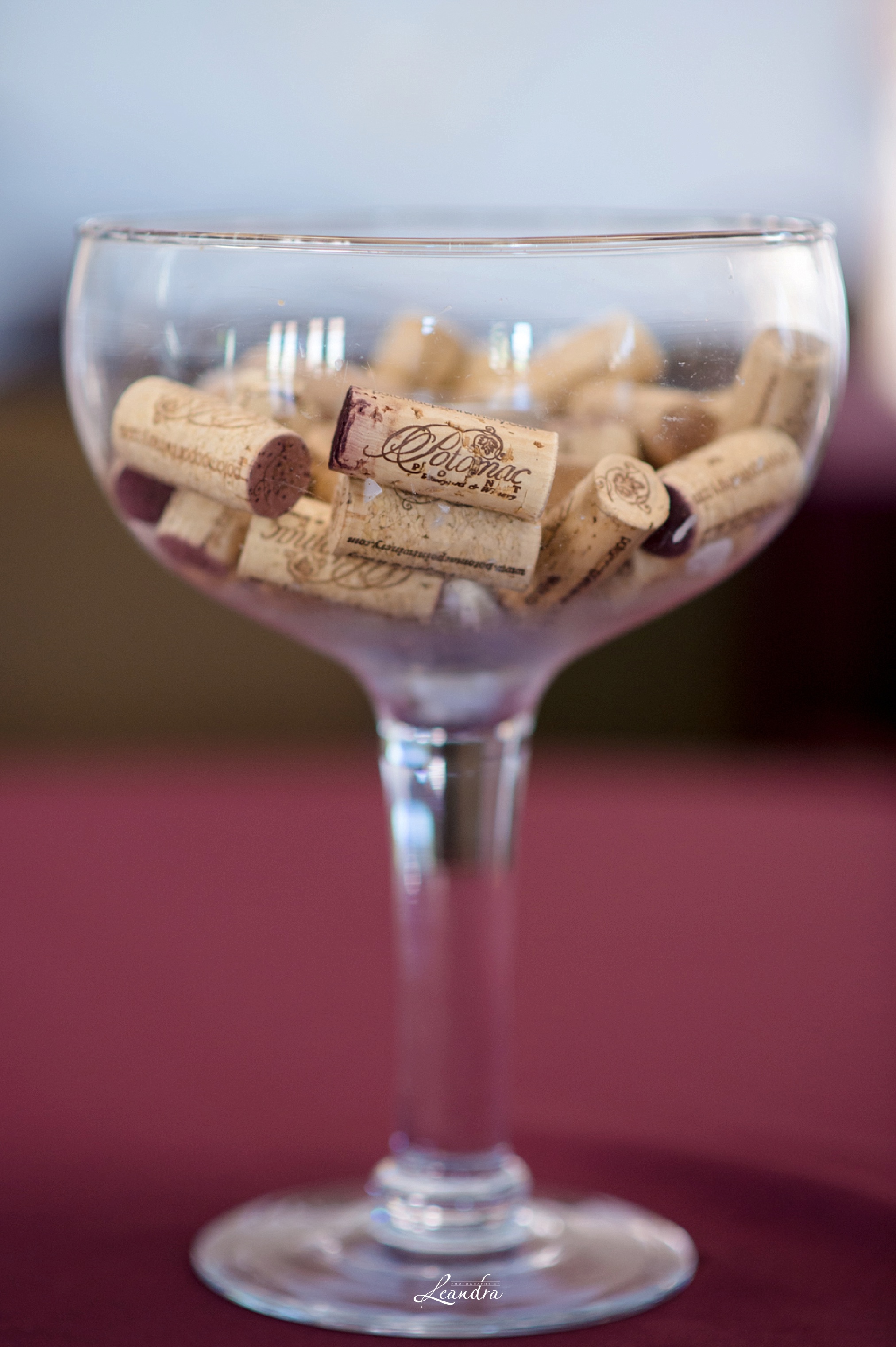 PotomacPointWinery_0139.jpg