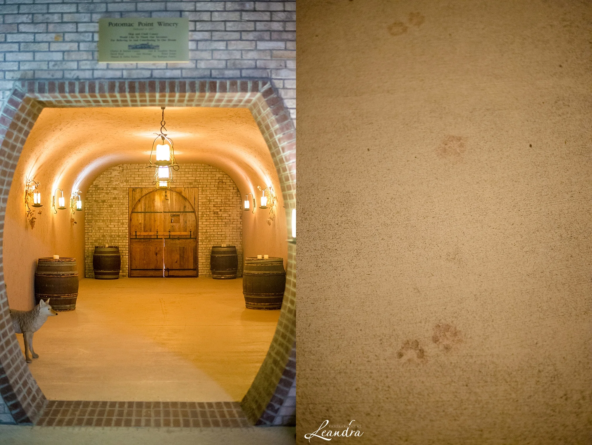 PotomacPointWinery_0148.jpg