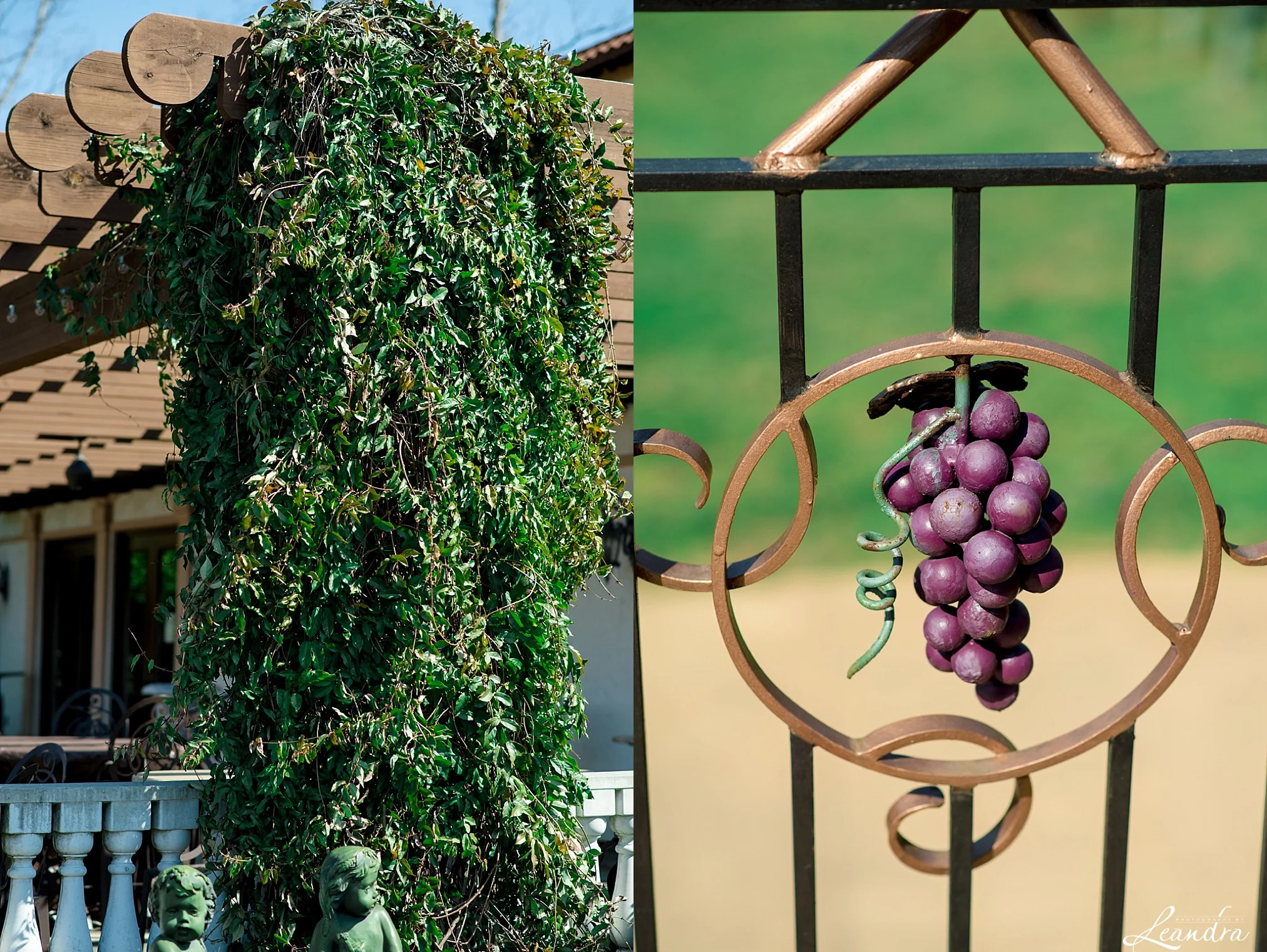 PotomacPointWinery_0154.jpg