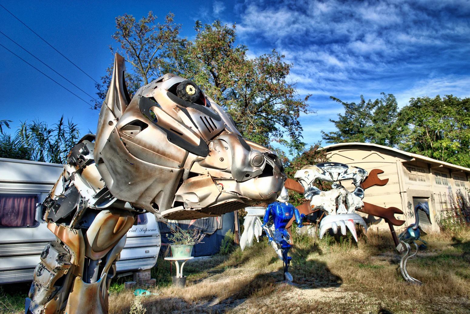 JWT_2320hdr.jpg