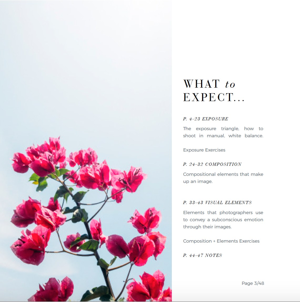 Screen Shot 2018-09-28 at 1.24.44 PM.png