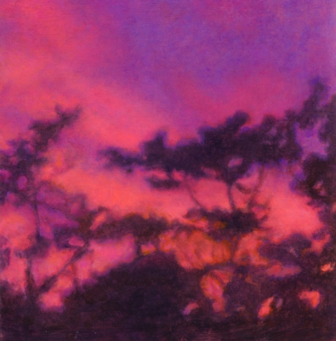 DuneLight (July).jpg