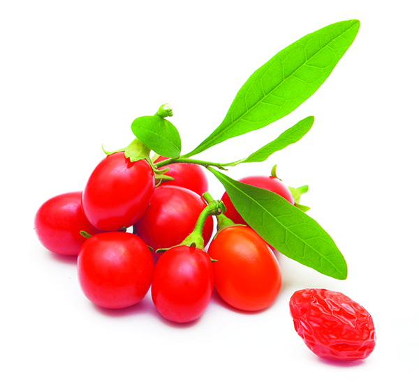 For example, The goji berry or wolfberry is a small red fruit that can be found in Asian cuisine and herbal medicine. While its physical structure is comprised of mostly water, its elemental classification is actually wood. The colors of things also bear weight as to what elemental energy it carries. Items that are black, such as a black tea cup, will be classified as water.