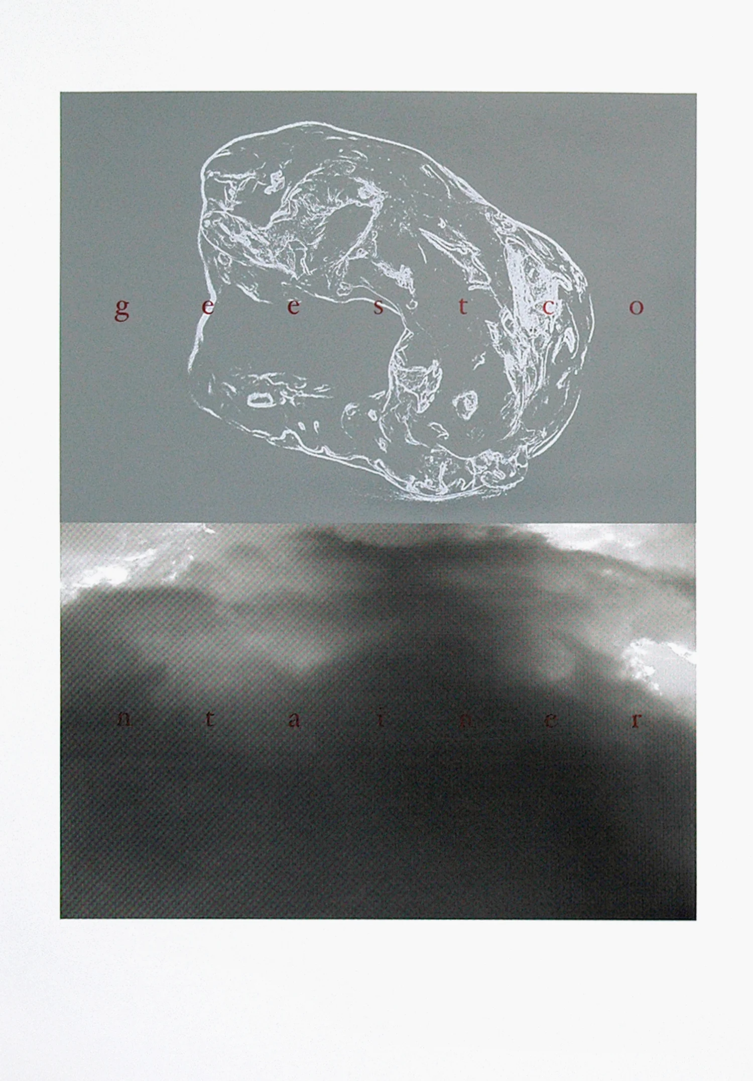 Geest II | 2007 | 114 x 81 cm | screenprint on paper (edition of 10)