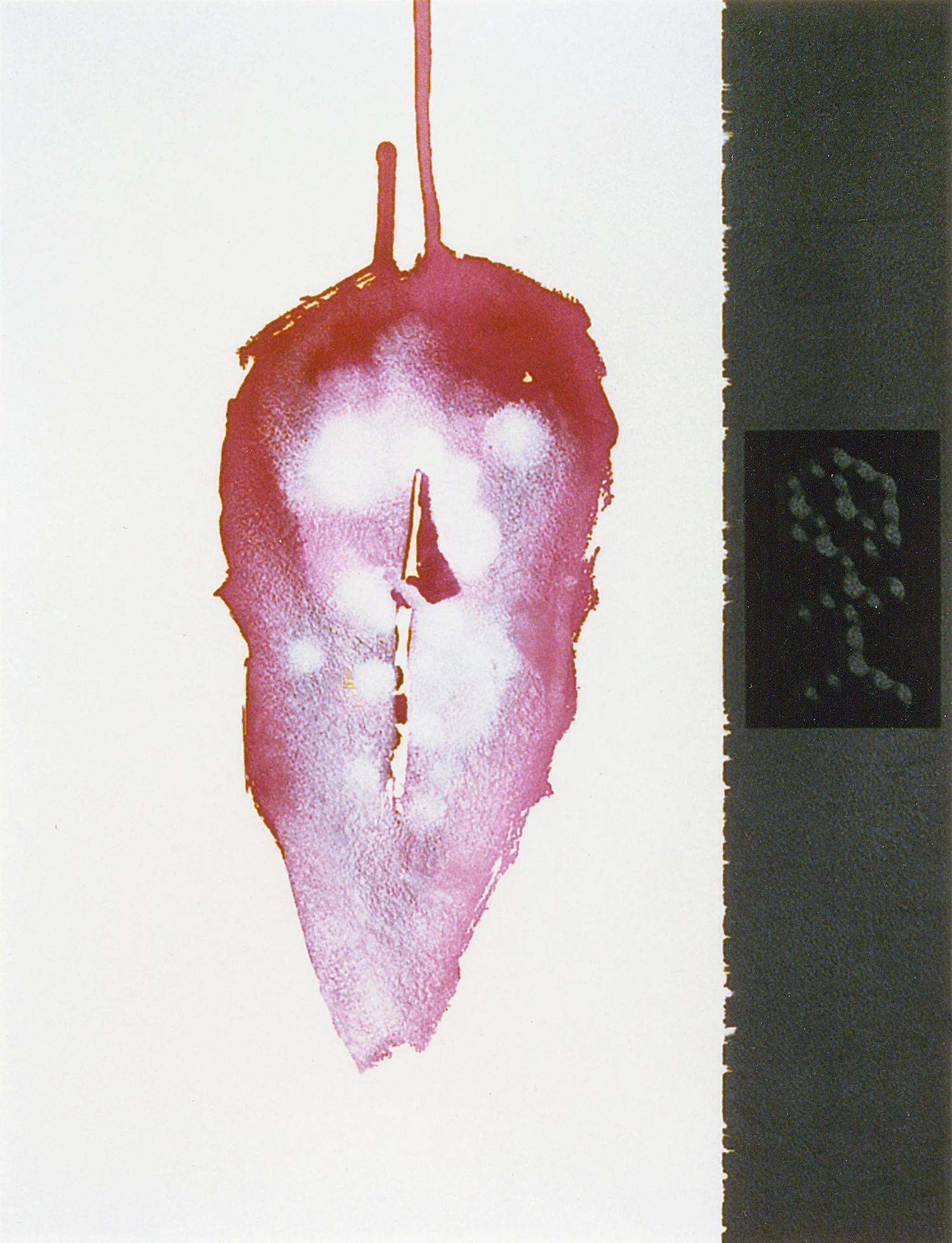 Portrait | 1997 | 62 x 48 cm | acrylic, collage on paper private collection Bemmel NL