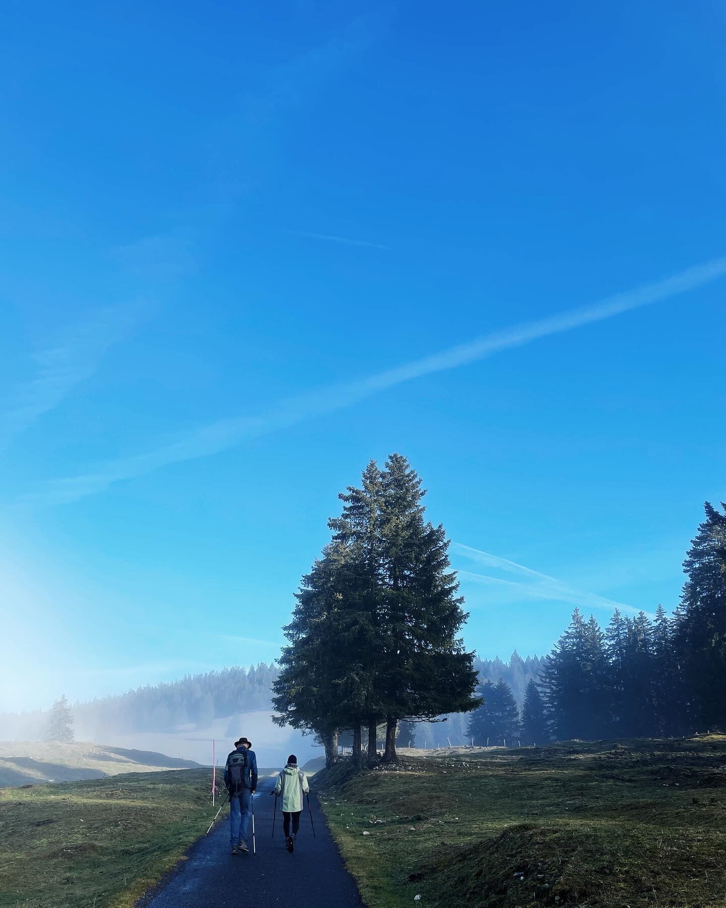 Hiking above and below the cloud line in the Jura Mountains ☁️