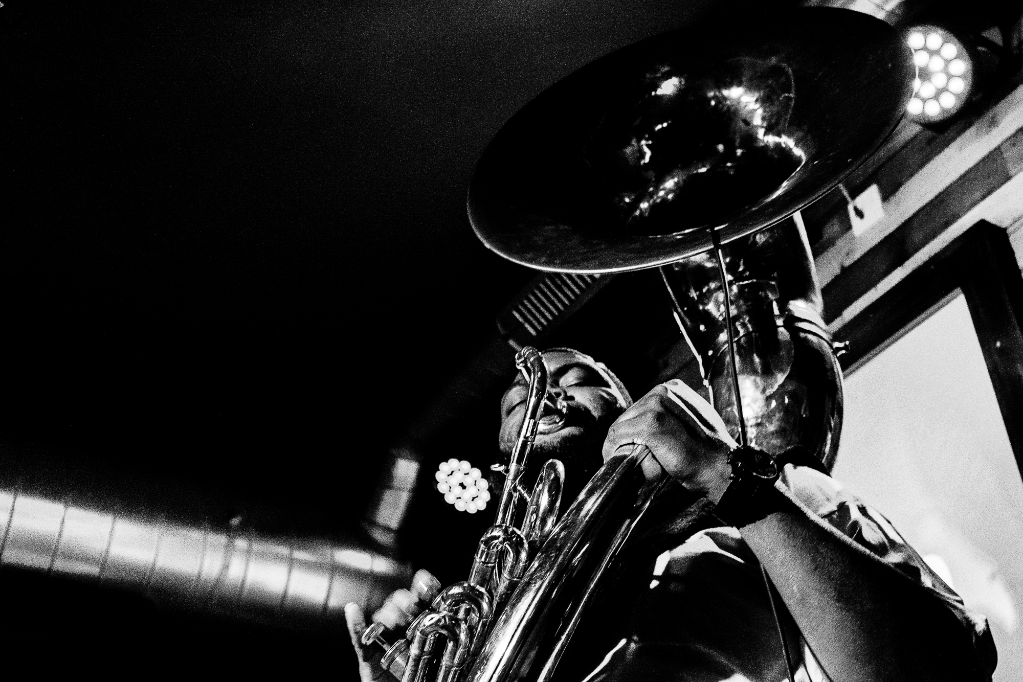 Photos by Martin Sanders