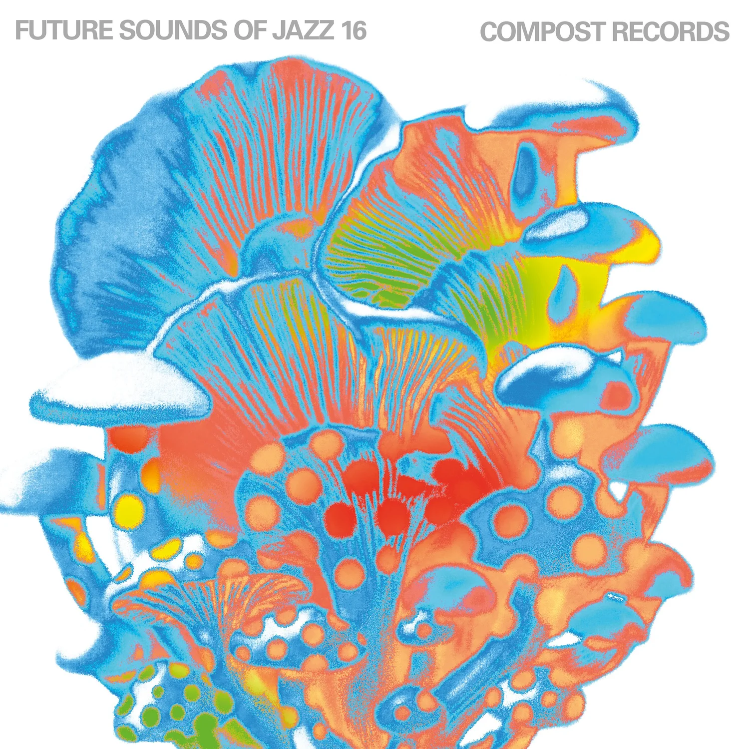 Talking ‘Future Sounds of Jazz’ with Michael Reinboth and Michael Rütten - an interview
