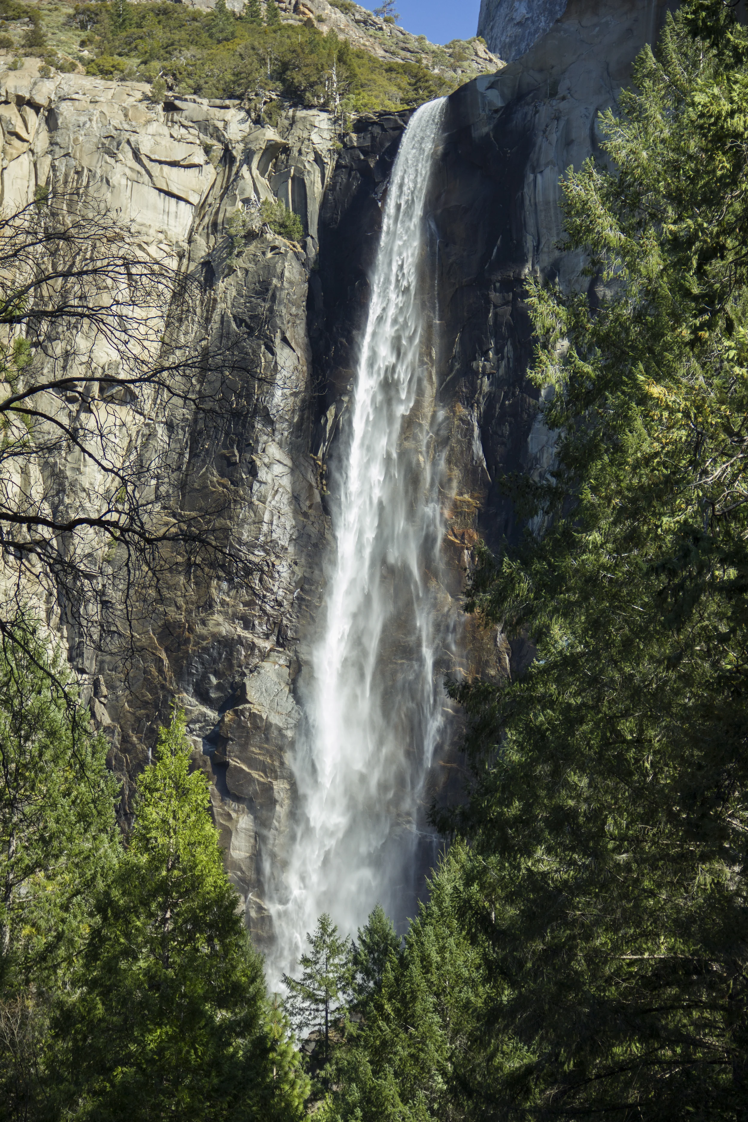 _MG_0763.jpg