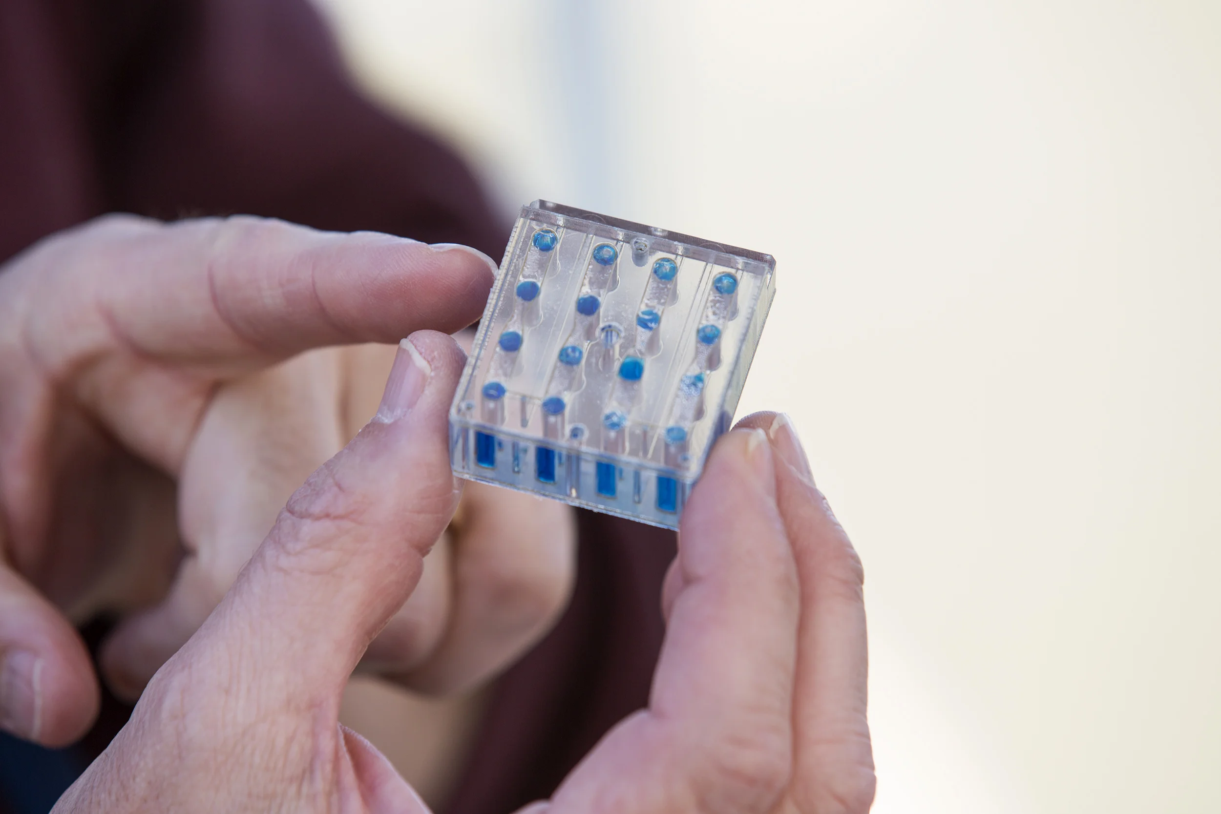 A yeast-group activation pack on display at the State of NASA event on Feb. 2, 2015 at the Ames Exploration Center in Mountain View. NASA is experimenting with yeast to see how it grows in space, and to learn how to better manage and treat infections on Earth.
