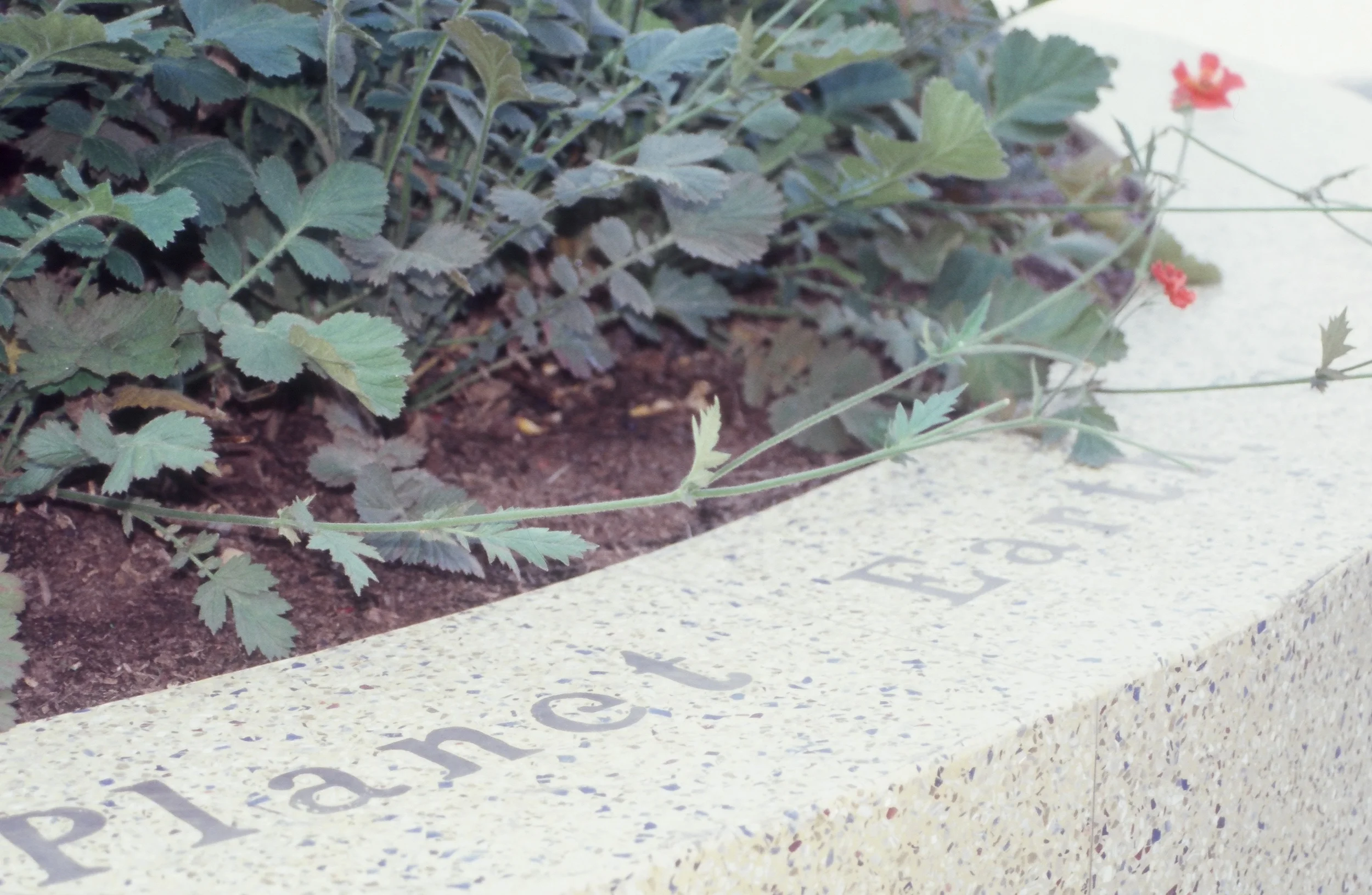 Solstice Plaza Terrazzo Planter