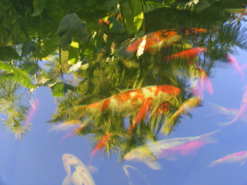 DSCF0130.jpg