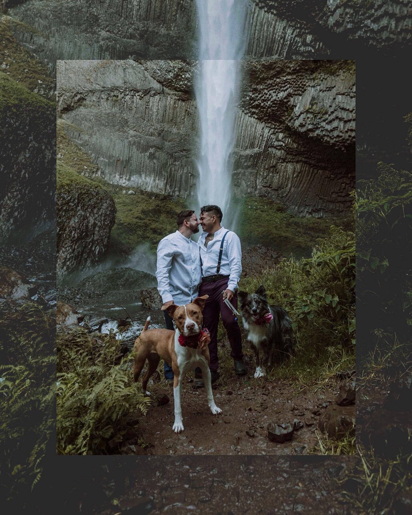 Congrats to Angel and Tyler who decided to come to Oregon from Texas to elope today! You two are such sweethearts! They wisely chose this cool and misty spot on a 100&deg; day! 😅🥵 Let us also take a moment to admire their two precious pooches, Luna