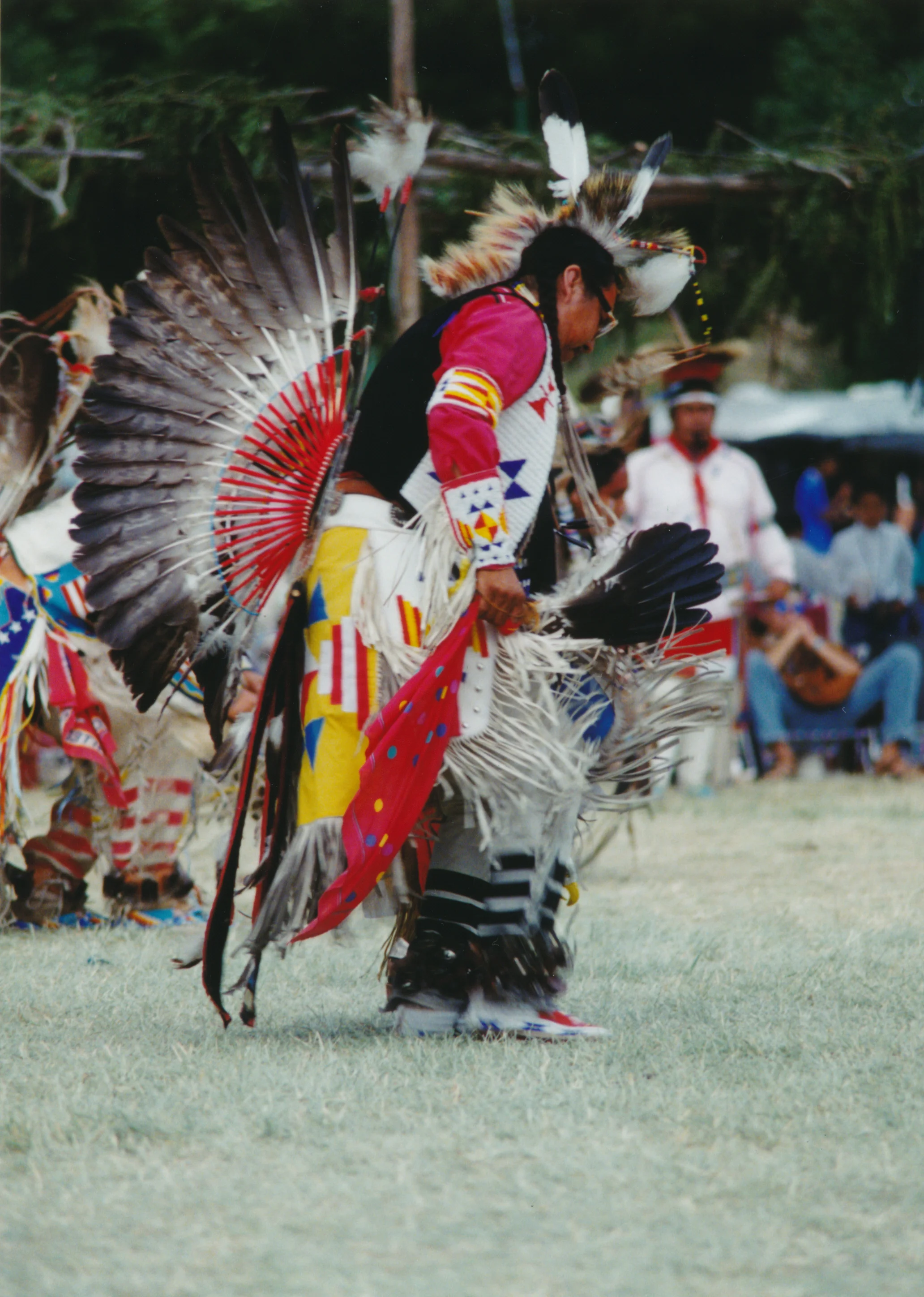 Cecil American Horse.jpg