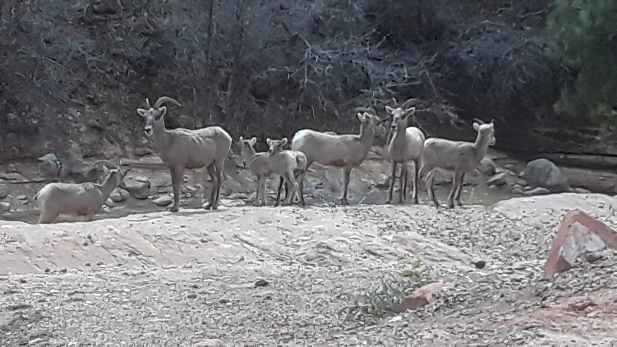 20190326_131421.jpg