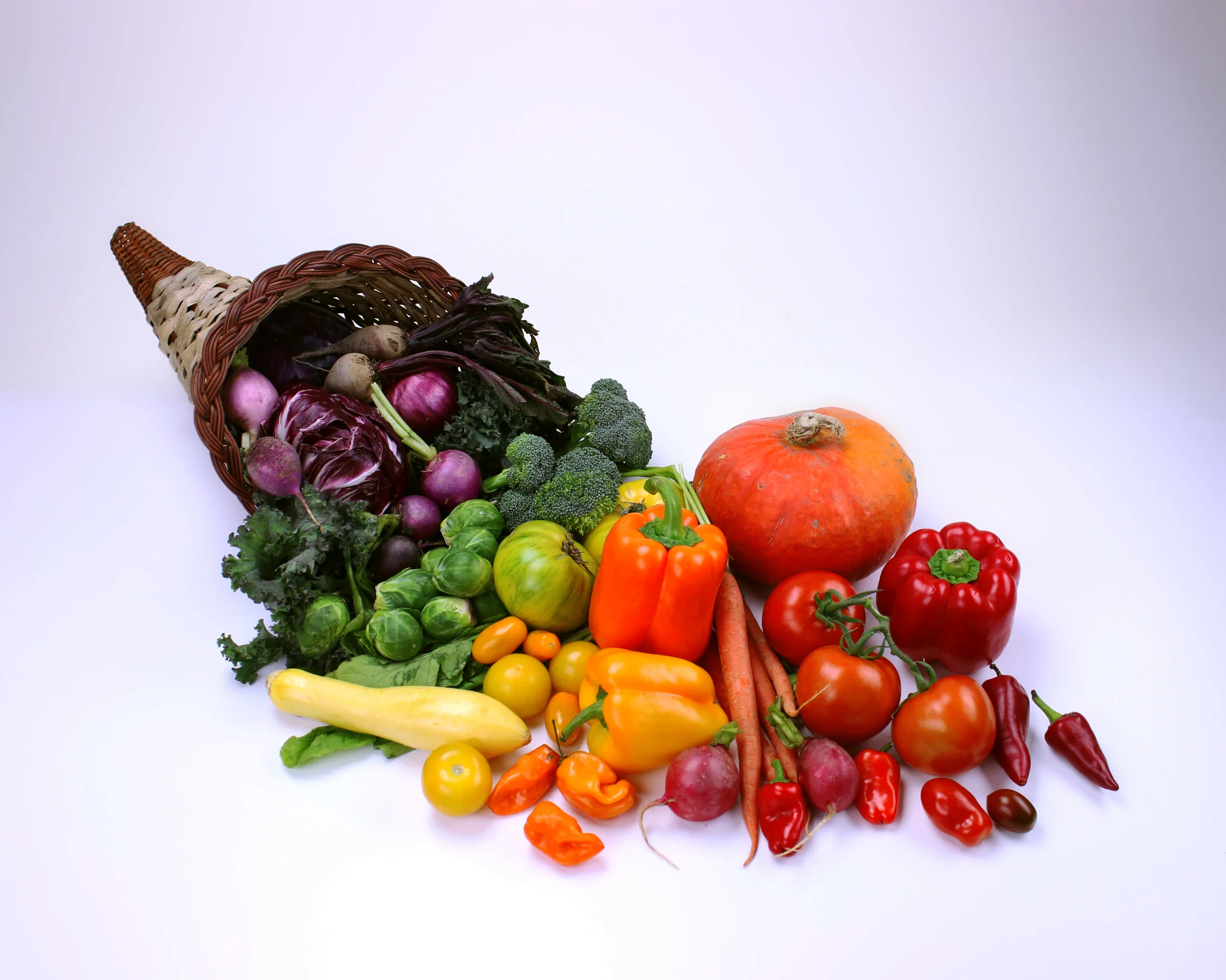 Rainbow-Cornucopia-edited_02.jpg