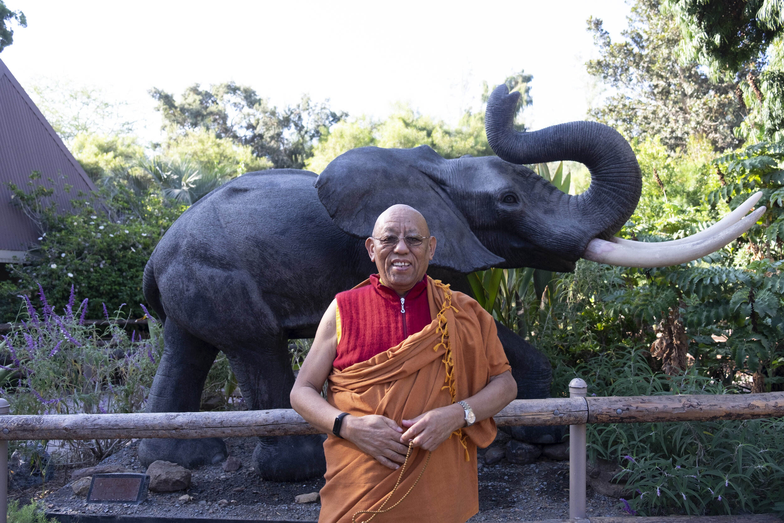 Lama Samten and elephant statue.jpg