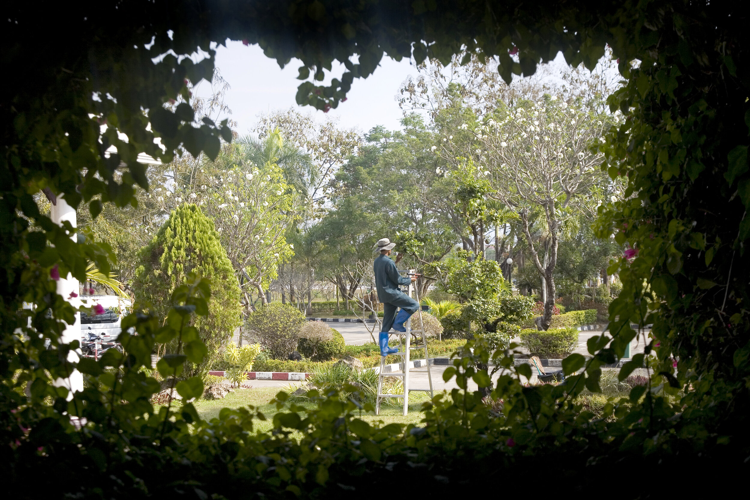 Thai gardener a3.jpg