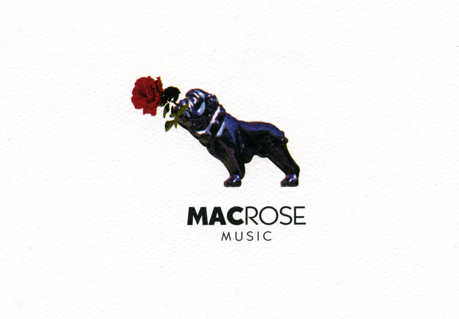 Macrose music logo.jpg
