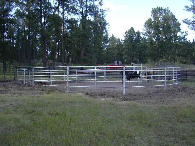 The orientation round pen.JPG