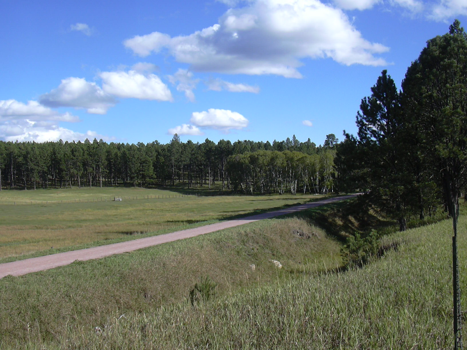 The Mickelson Trail.JPG