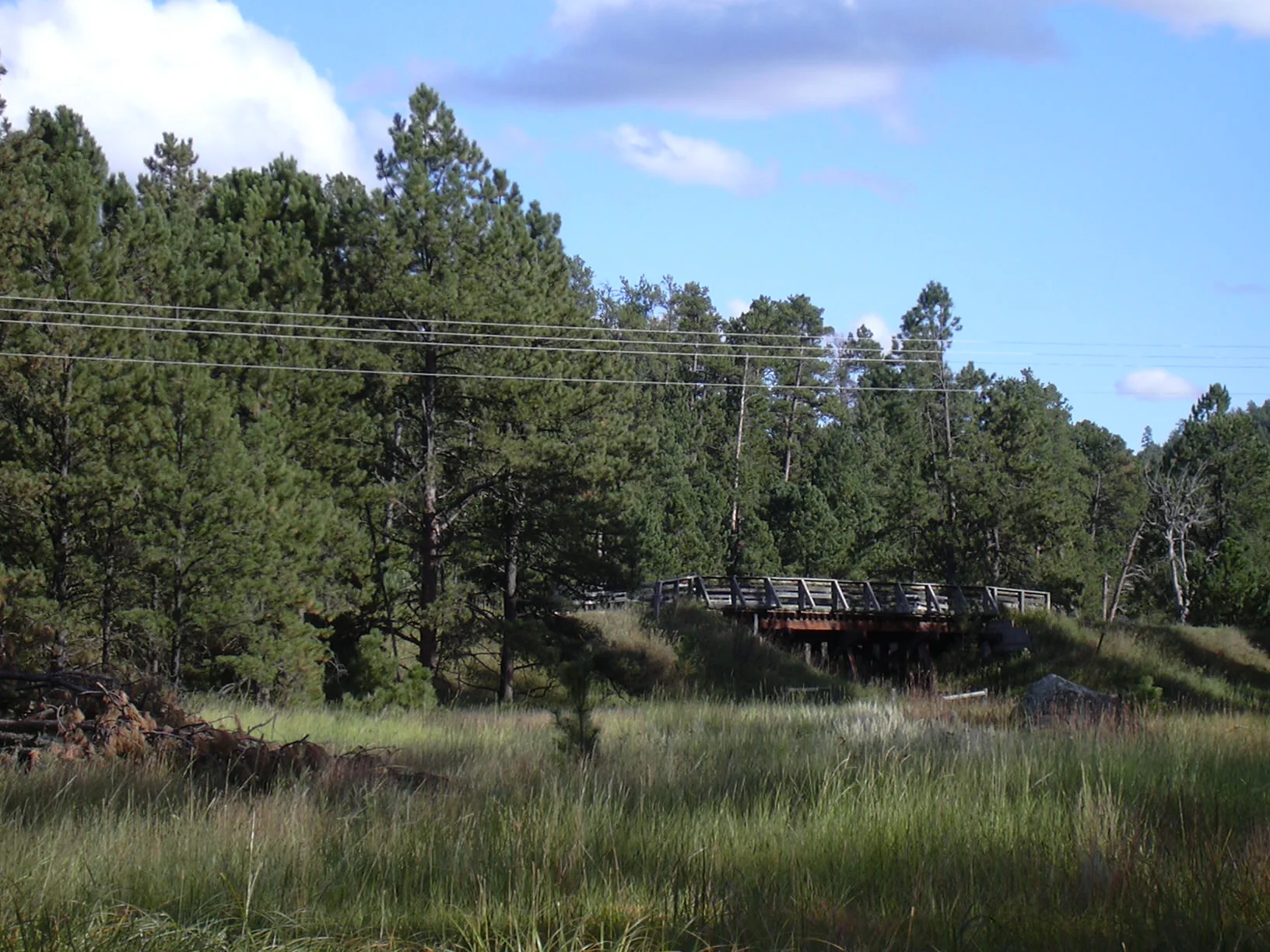 Old Railroad Trestle on the Mickelson.JPG