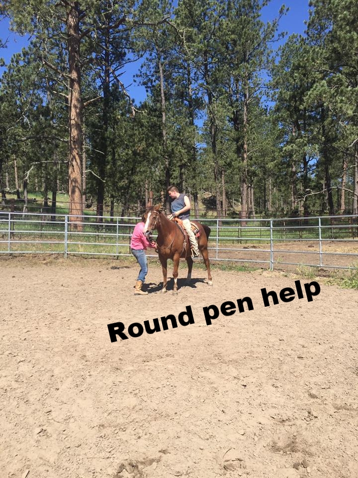 Round pen help.jpg