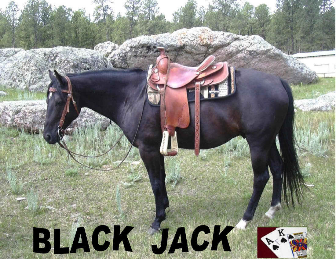 Black Jack C.jpg