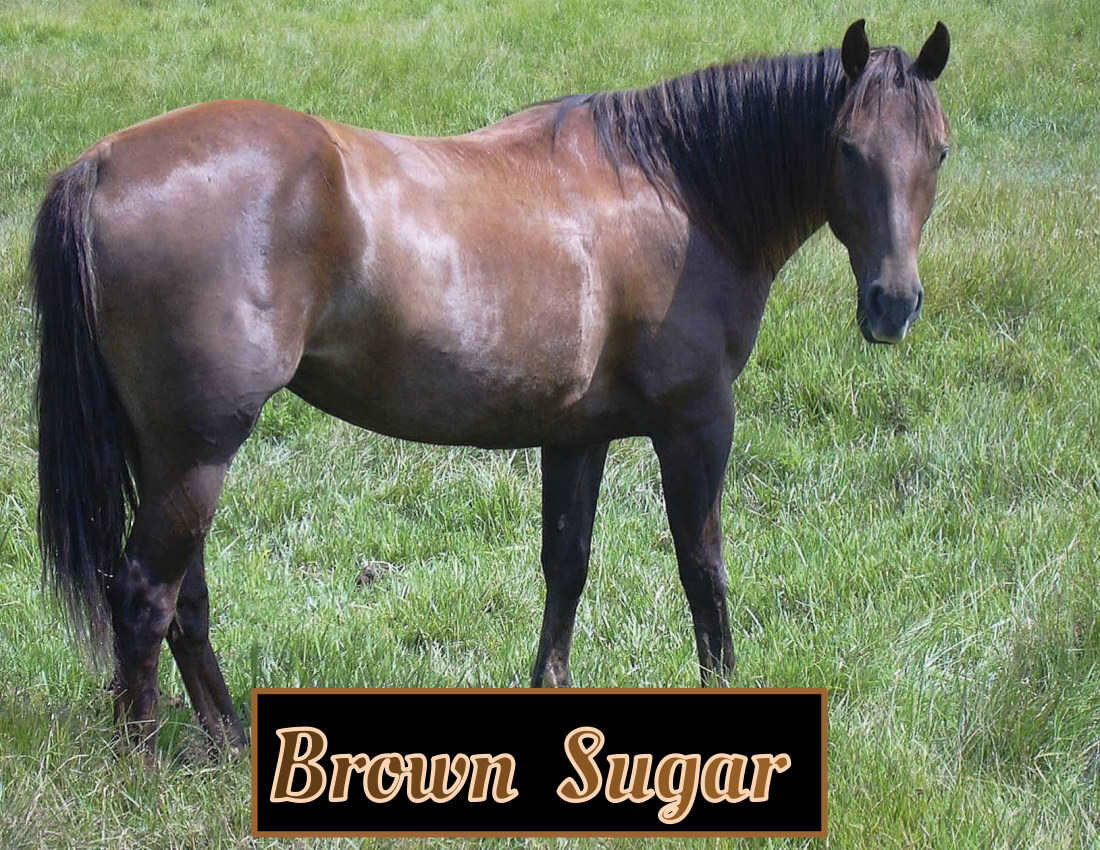 Brown Sugar C.jpg