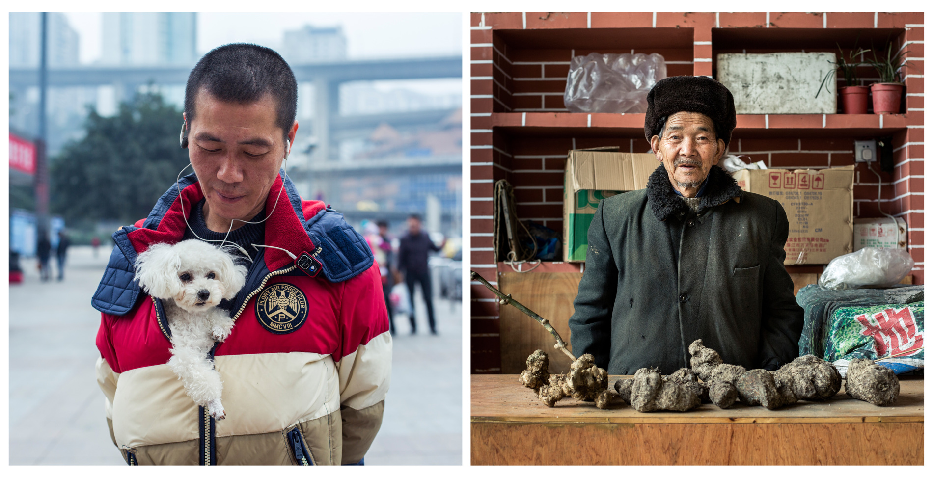 China Portrait Diptych.JPG