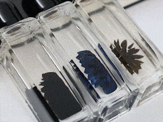 Motion