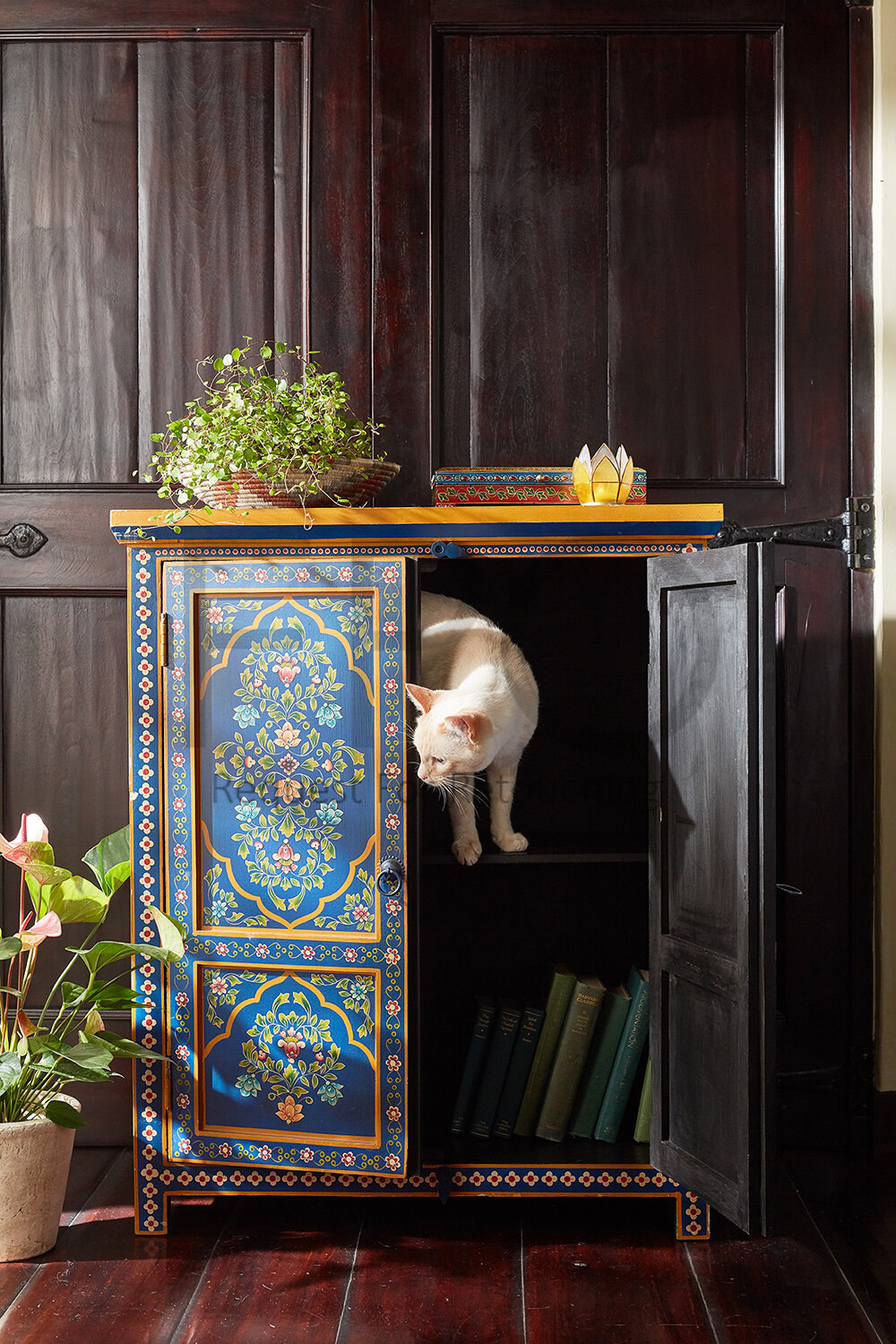 Bombay_Bazaar_Decor_painted_cabinet_2356.jpg