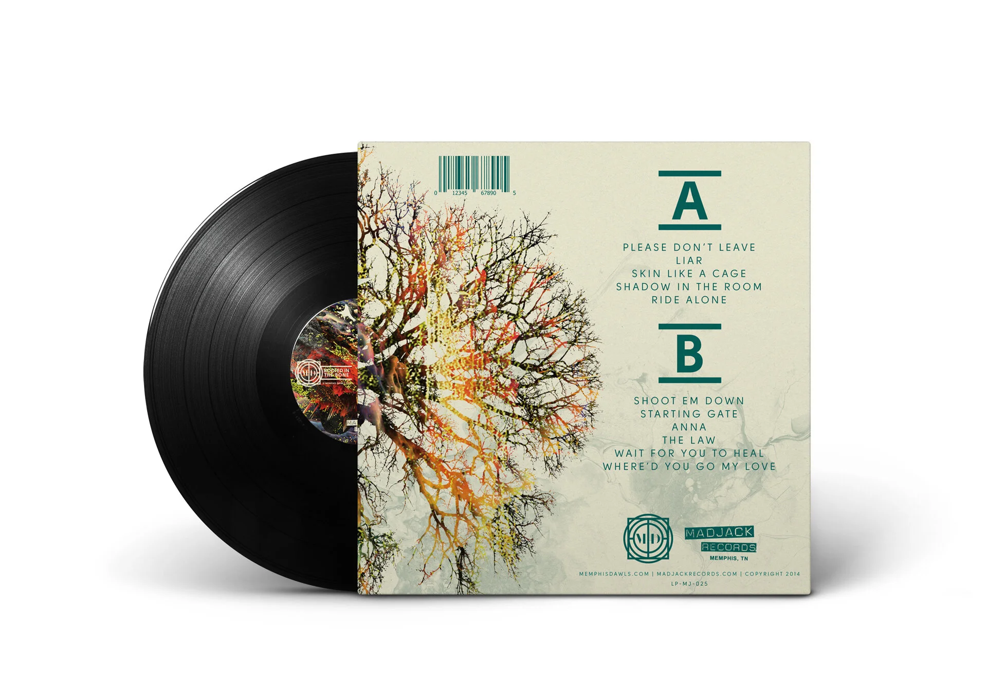 MDWLS-Rooted-Vinyl-BCover-Mockup.jpg