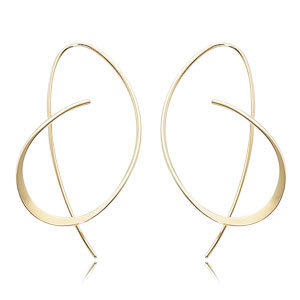 Freeform Wire Earrings 