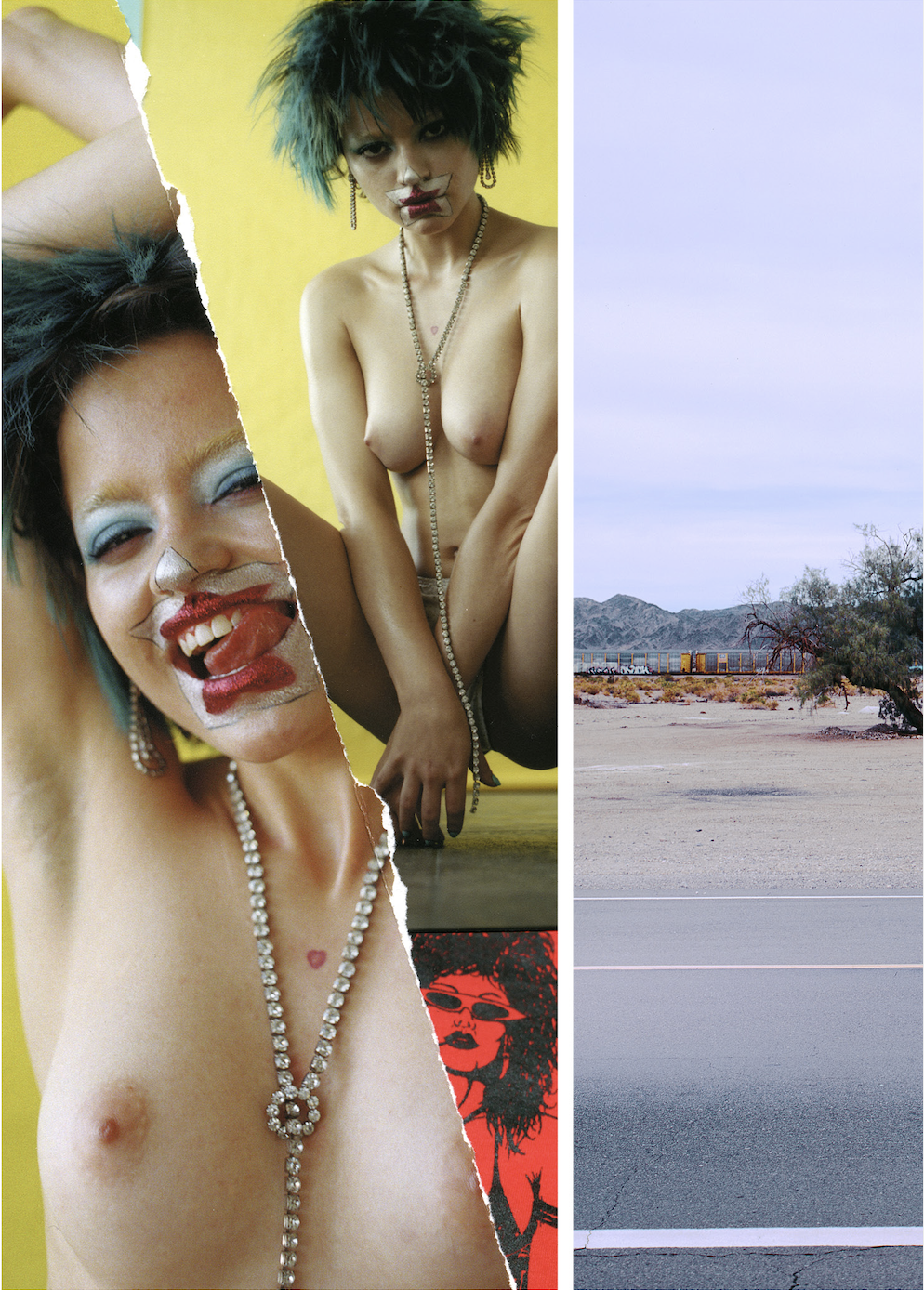 WE ARE VANDALS X MATHIEU VLADIMIR ALLIARD