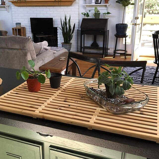 The cedar bath mats I made last month can also serve as the perfect drainage platform for your 63 house plants! Great idea @ebopics