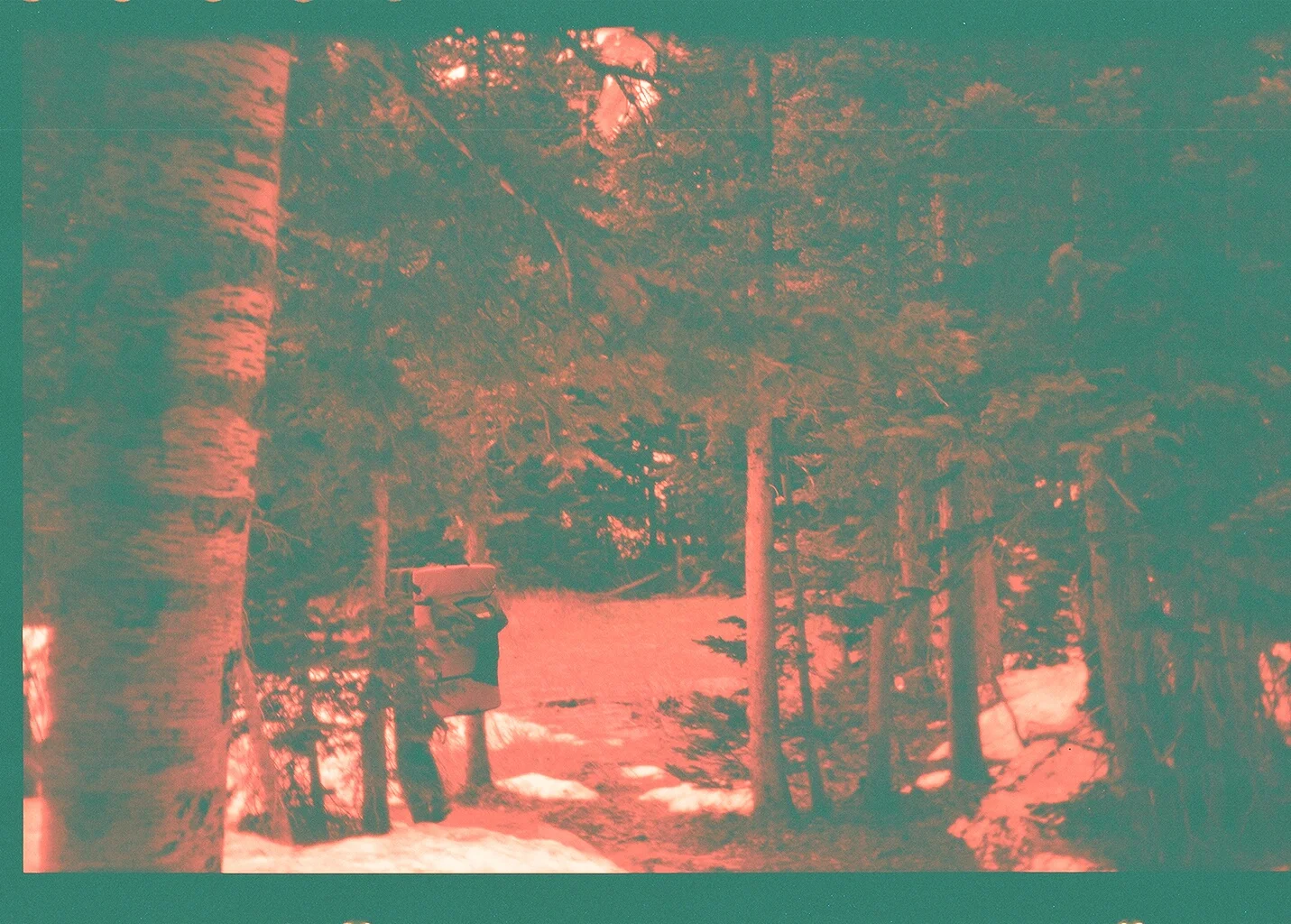13010004.JPG