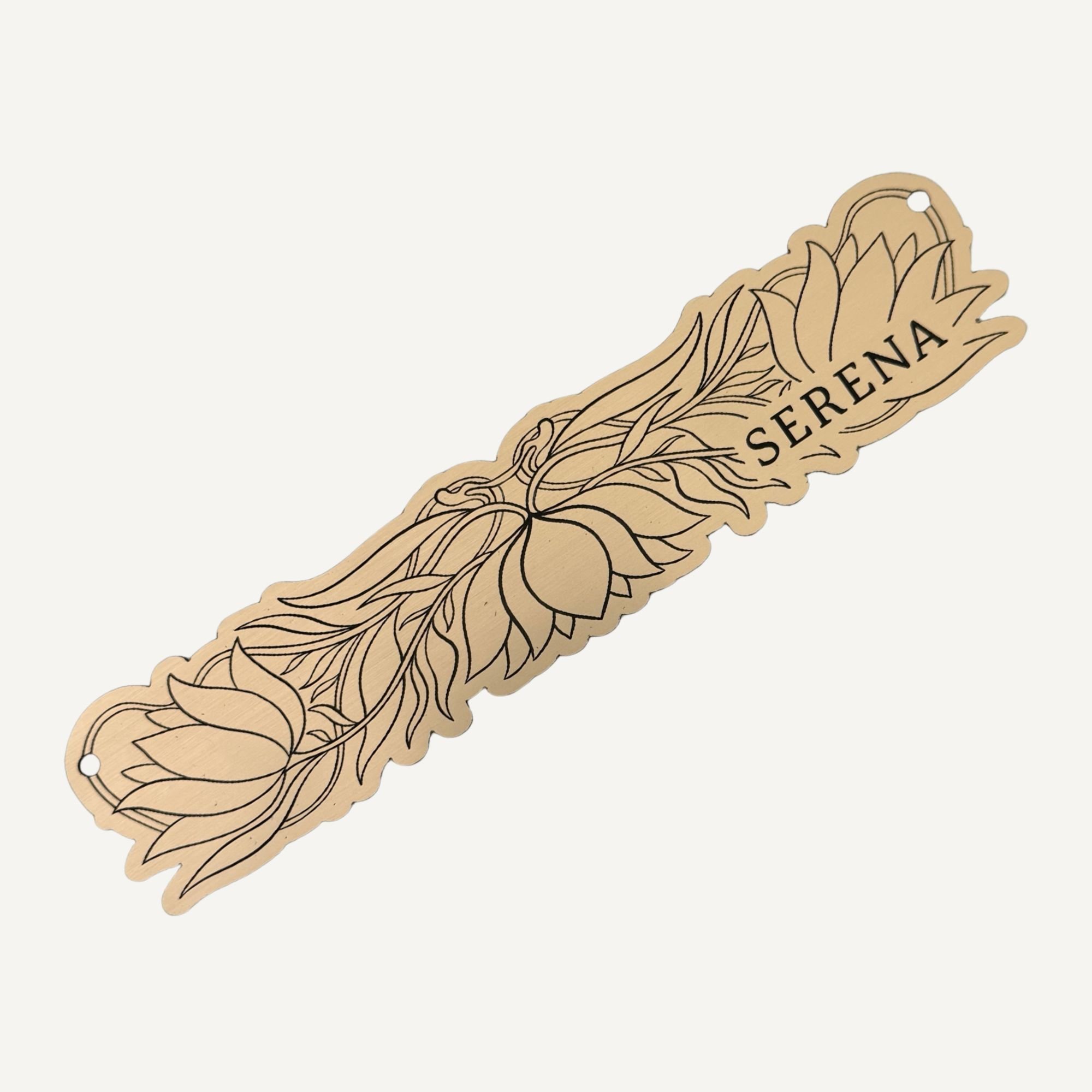 Newtown Website Photos - 2026-02-24T144921.635.jpg