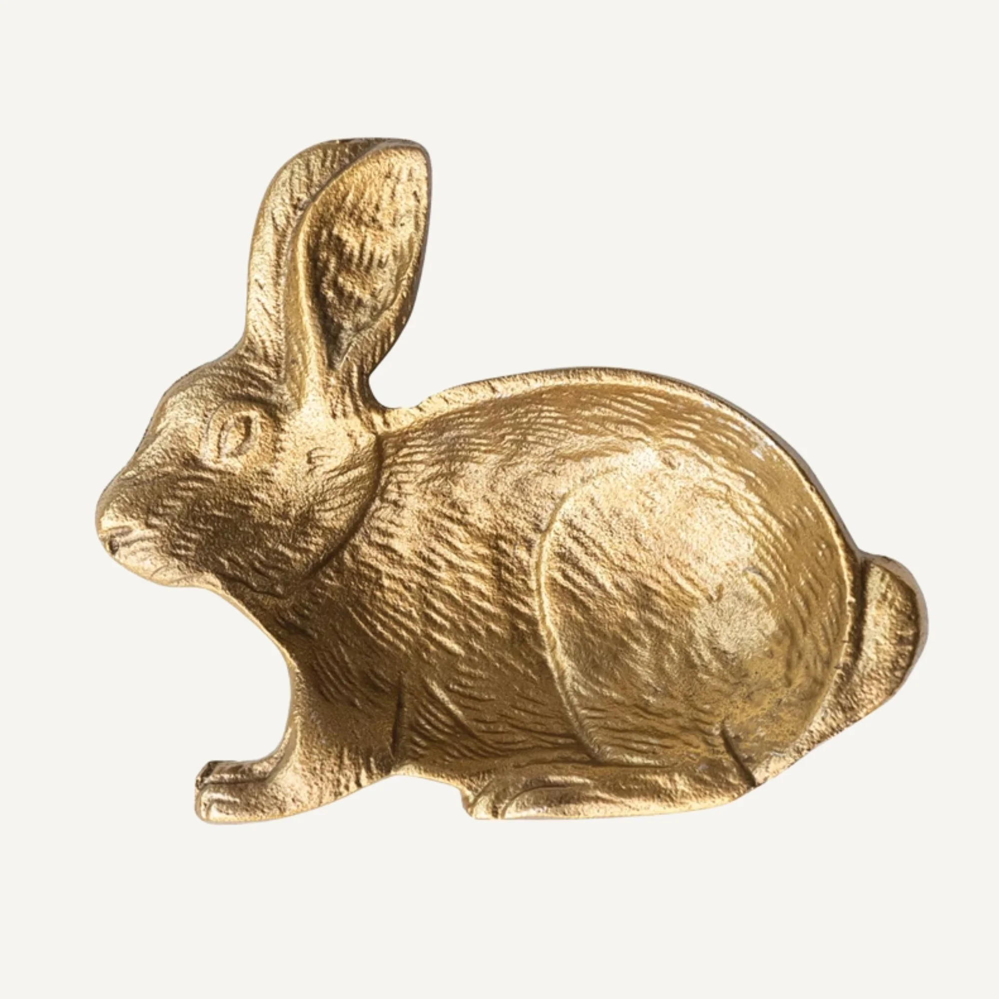 Website Photos (91).jpg