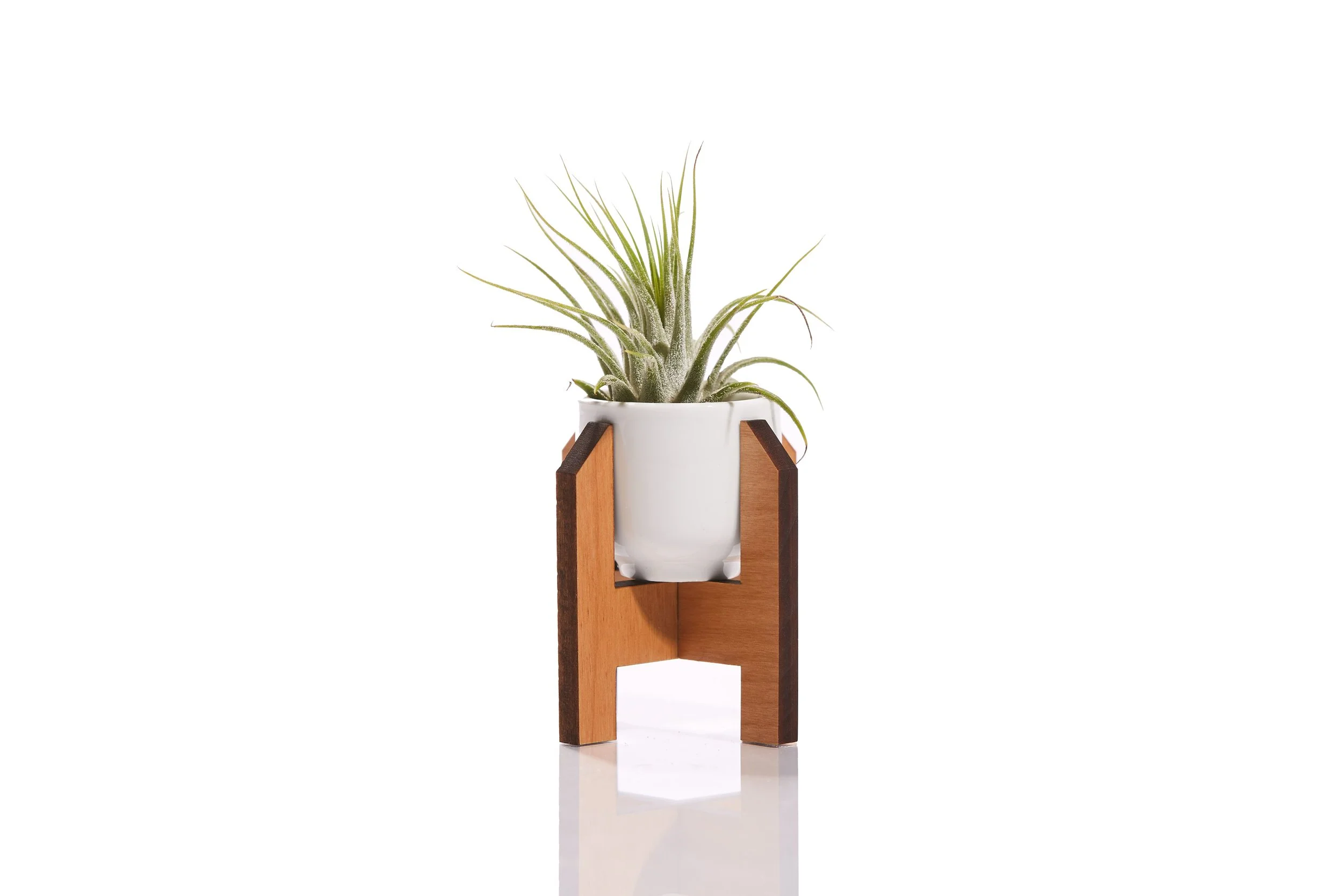 Planter_Small (edit).jpg