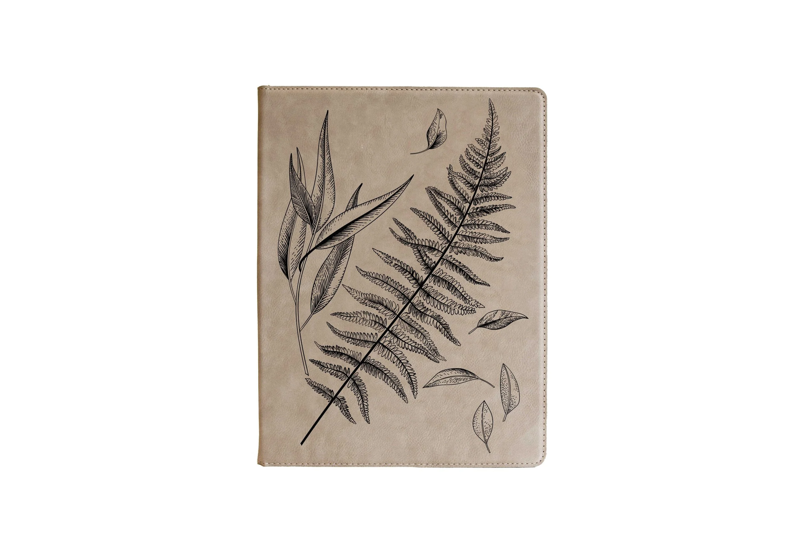 Fern Portfolio.jpg
