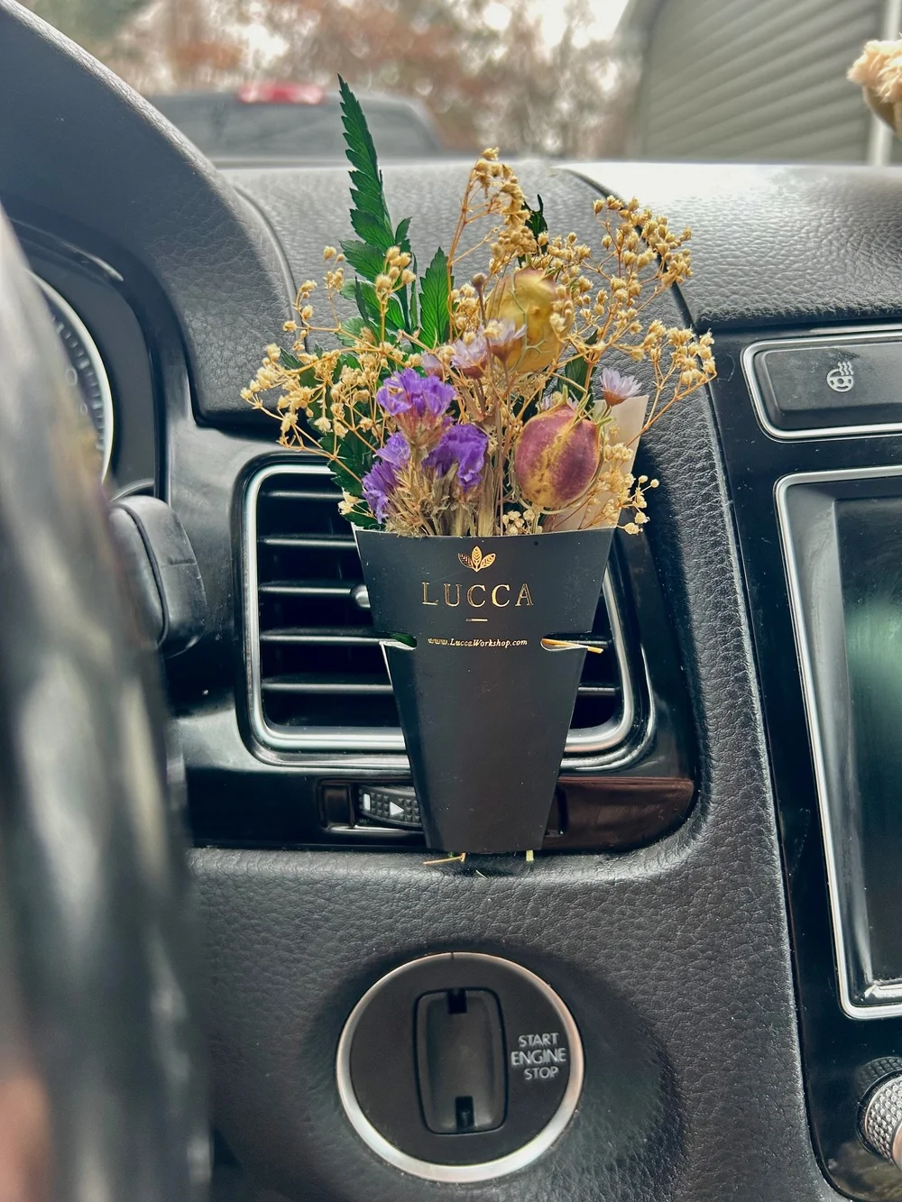 Mini Dried Flower Car Vent Freshener  Non-Toxic Essential Oil Air  Freshener Clip  Lucca