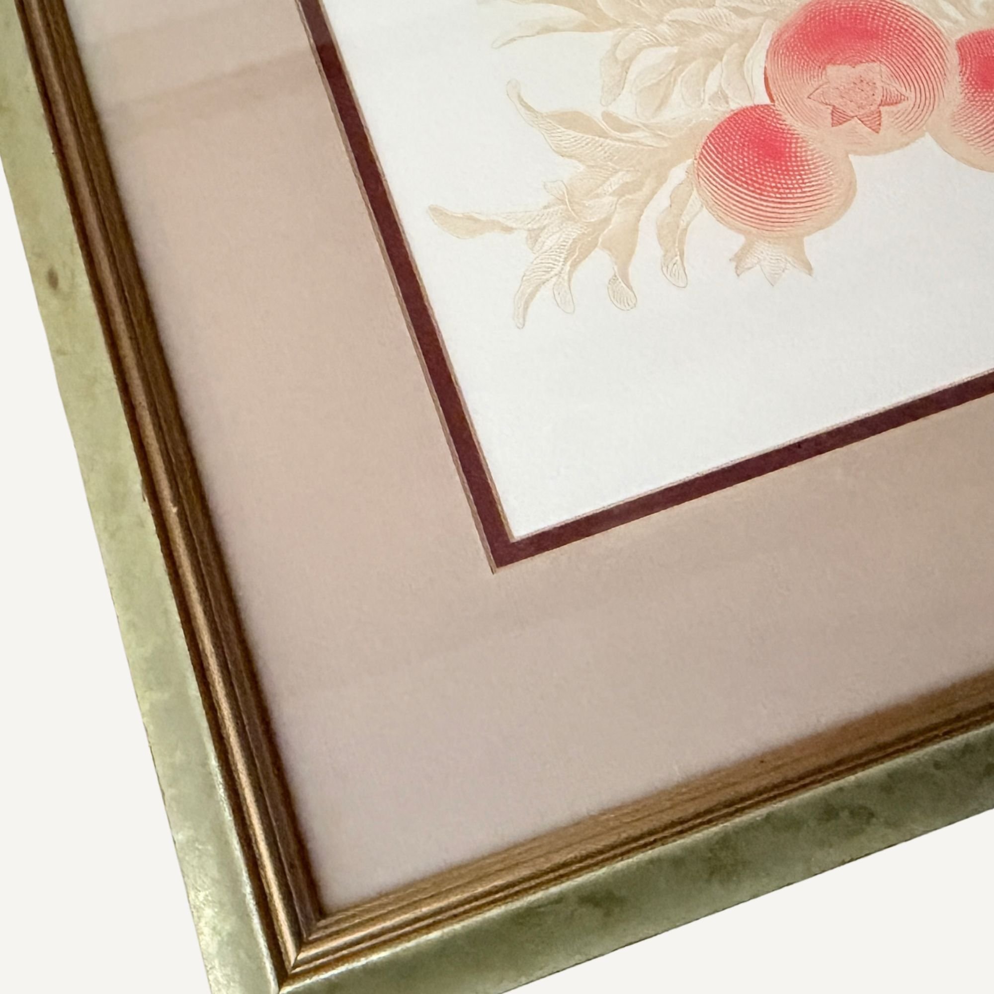 Website Photos (39).jpg