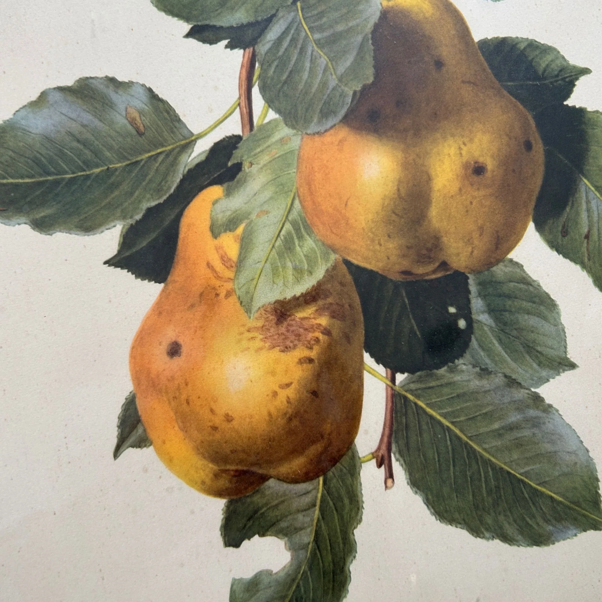 Newtown Website Photos (30).jpg