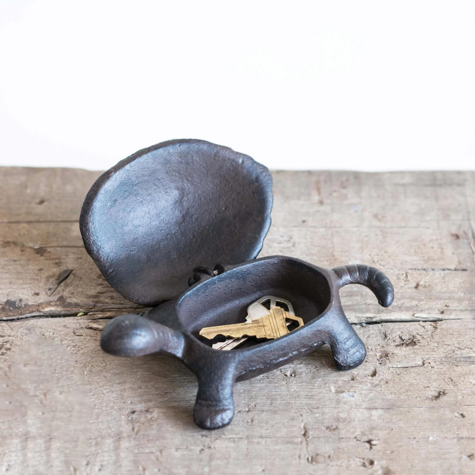 Website Photos - 2026-03-17T115609.896.jpg