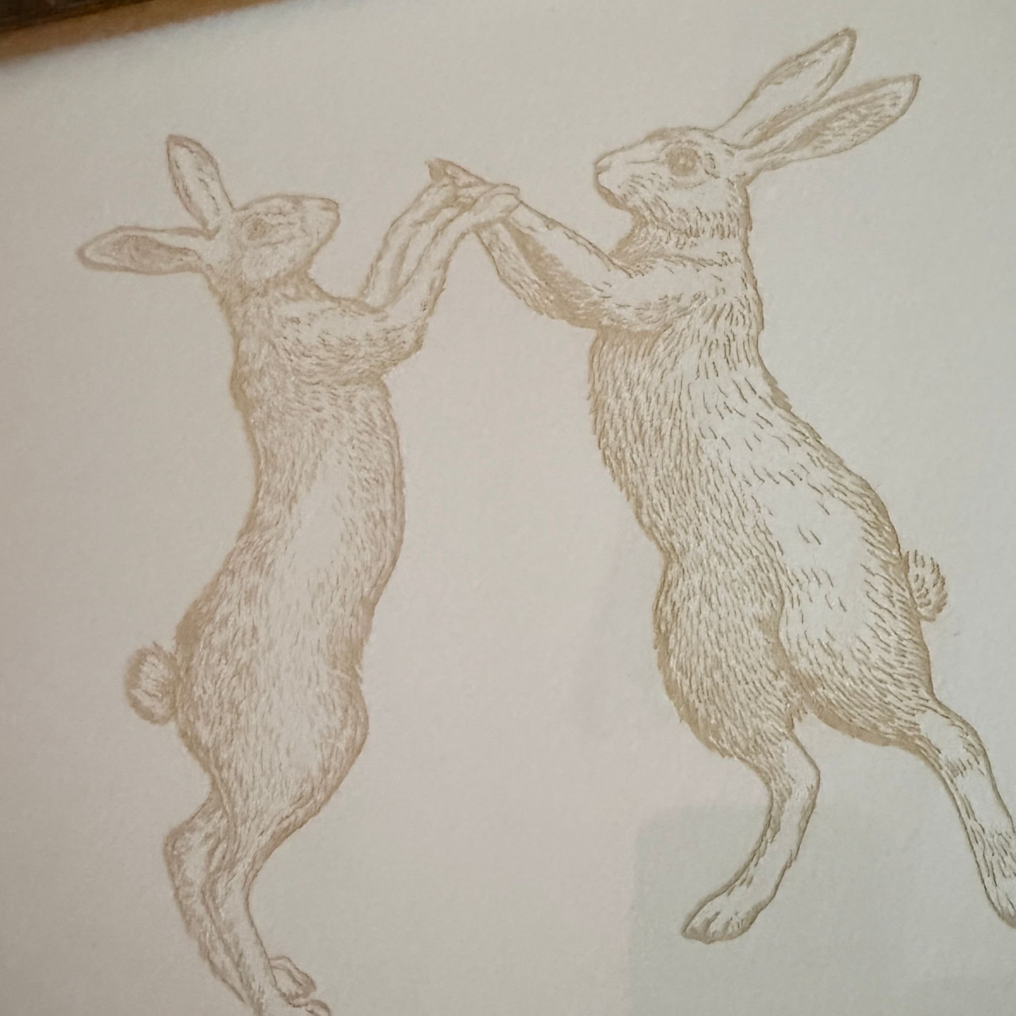 Website Photos (36).jpg