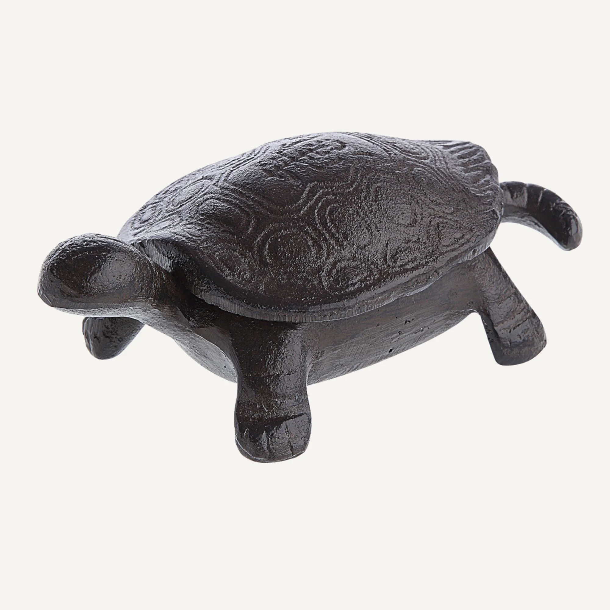 Website Photos - 2026-03-17T115552.757.jpg